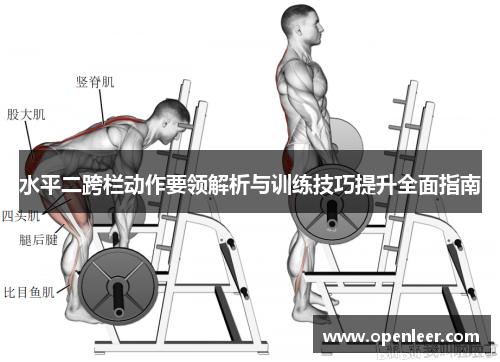 水平二跨栏动作要领解析与训练技巧提升全面指南