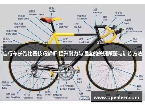 自行车长跑比赛技巧解析 提升耐力与速度的关键策略与训练方法